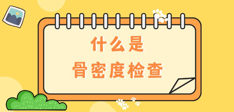 【雙能x線骨密度儀】什么是骨密度檢查？該怎么查？